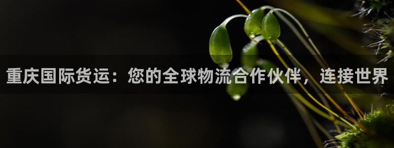 尊龙凯时人生就博