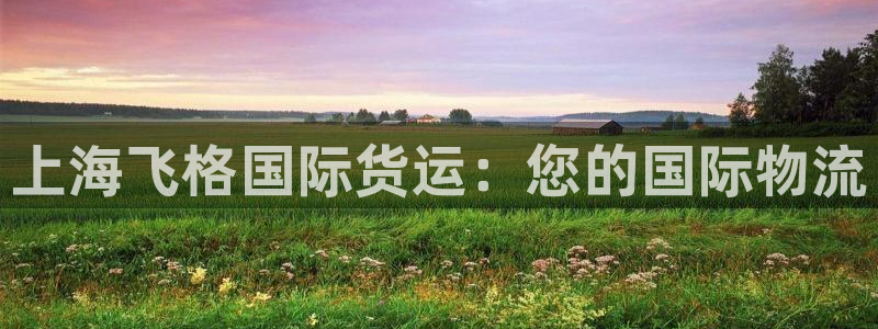 尊龙凯时注册入口：上海飞格国际货运：您的国际物流