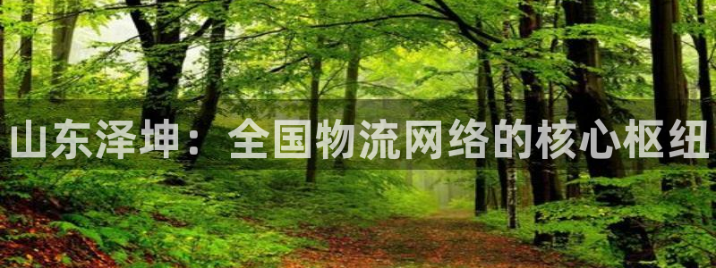 尊龙凯时邀请码