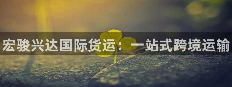 尊龙服饰有限公司地址：宏骏兴达国际货运：一站式跨境运输