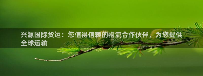 尊龙凯时人生就是搏平台：兴源国际货运：您值得信赖的物流合