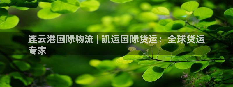 尊龙人生就是-首页：连云港国际物流 | 凯运国际货运：全