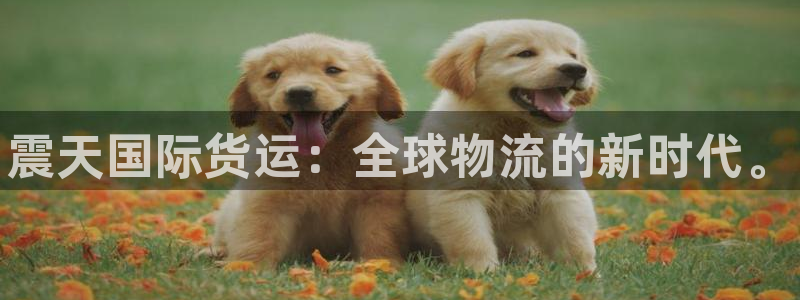 尊龙凯时能不能提现?