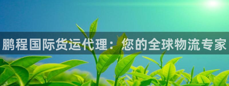 尊龙凯时网站网址：鹏程国际货运代理：您的全球物流专家