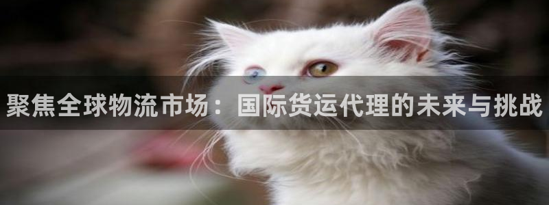 尊龙人生就是博