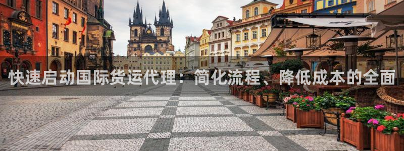 尊龙凯时泰安：快速启动国际货运代理：简化流程、降低成本的
