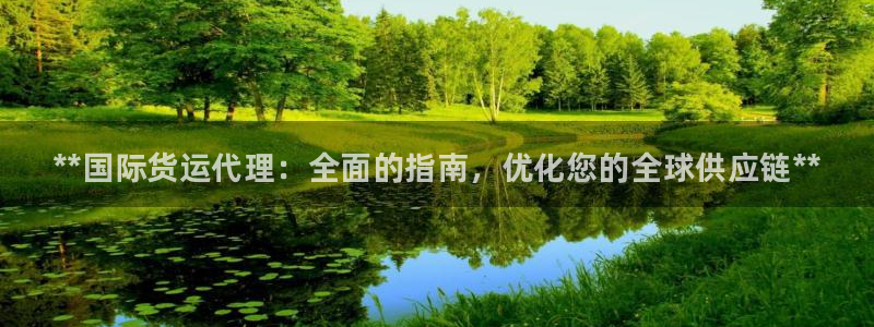 尊龙凯时的企业文化：**国际货运代理：全面的指南，优化您