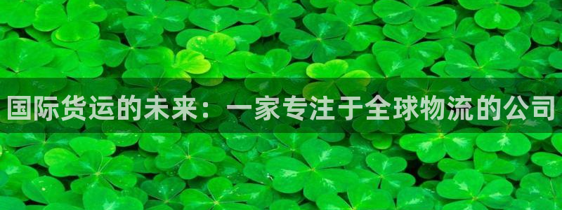 z6com尊龙凯时：国际货运的未来：一家专注于全球物流的